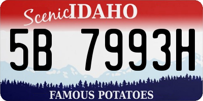 ID license plate 5B7993H