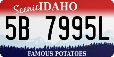 ID license plate 5B7995L
