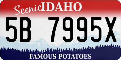ID license plate 5B7995X