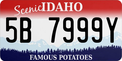 ID license plate 5B7999Y