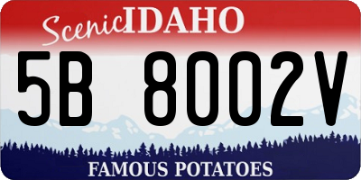 ID license plate 5B8002V