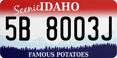 ID license plate 5B8003J