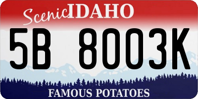 ID license plate 5B8003K