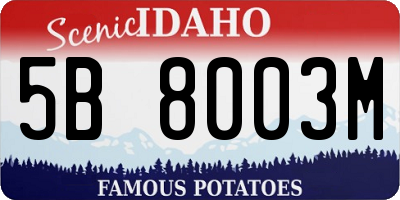 ID license plate 5B8003M