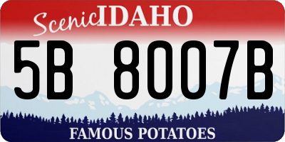 ID license plate 5B8007B