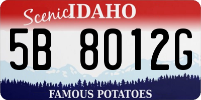ID license plate 5B8012G