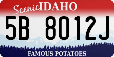 ID license plate 5B8012J