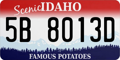 ID license plate 5B8013D