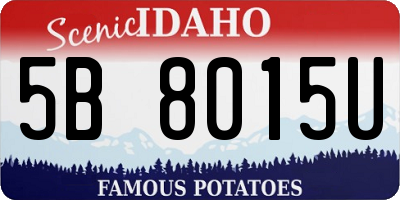 ID license plate 5B8015U