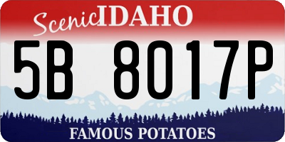 ID license plate 5B8017P