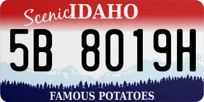 ID license plate 5B8019H