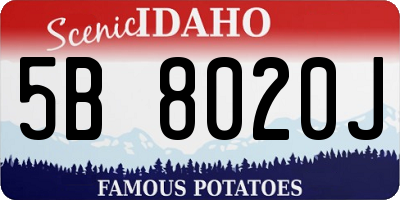 ID license plate 5B8020J