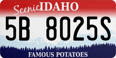 ID license plate 5B8025S