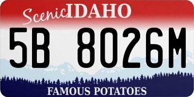 ID license plate 5B8026M