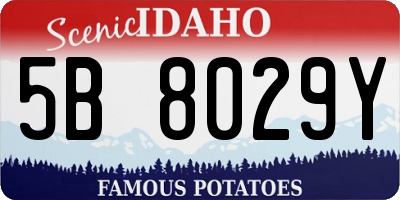 ID license plate 5B8029Y