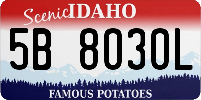 ID license plate 5B8030L