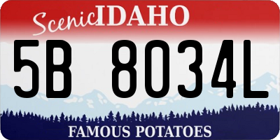 ID license plate 5B8034L