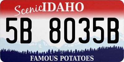 ID license plate 5B8035B