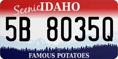 ID license plate 5B8035Q