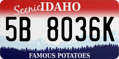 ID license plate 5B8036K