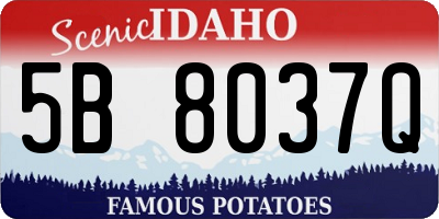 ID license plate 5B8037Q