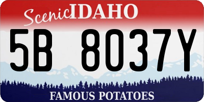 ID license plate 5B8037Y