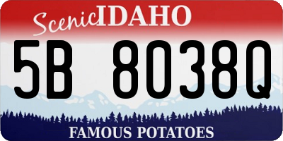 ID license plate 5B8038Q