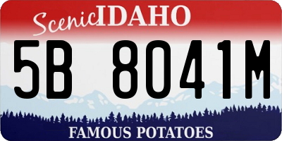 ID license plate 5B8041M