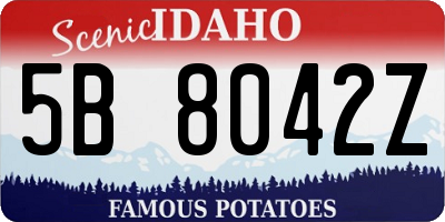 ID license plate 5B8042Z
