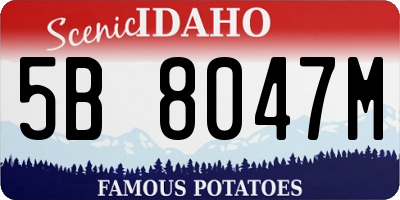 ID license plate 5B8047M