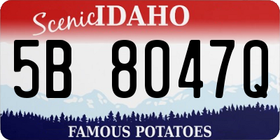 ID license plate 5B8047Q