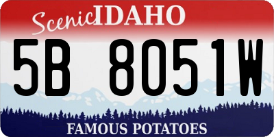 ID license plate 5B8051W