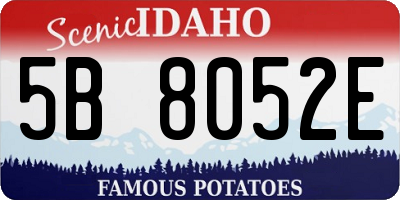 ID license plate 5B8052E