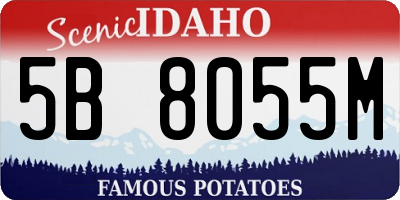 ID license plate 5B8055M