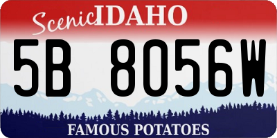 ID license plate 5B8056W