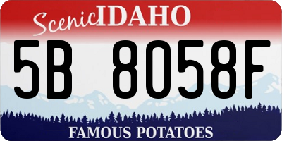 ID license plate 5B8058F