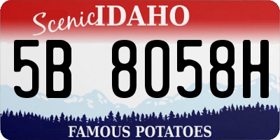 ID license plate 5B8058H