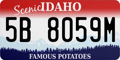 ID license plate 5B8059M