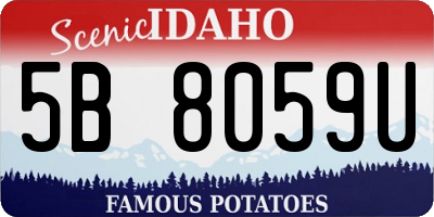 ID license plate 5B8059U
