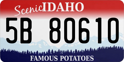 ID license plate 5B8061O
