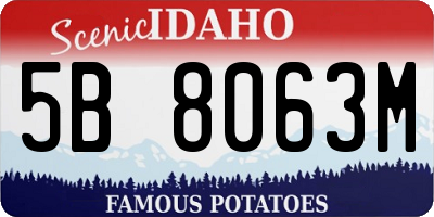 ID license plate 5B8063M