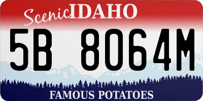 ID license plate 5B8064M