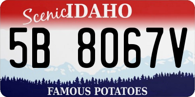 ID license plate 5B8067V