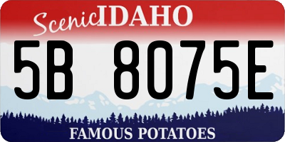ID license plate 5B8075E