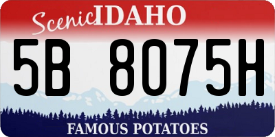 ID license plate 5B8075H