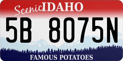ID license plate 5B8075N
