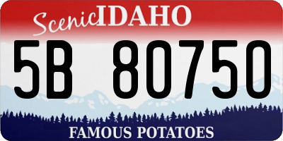 ID license plate 5B8075O