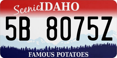 ID license plate 5B8075Z
