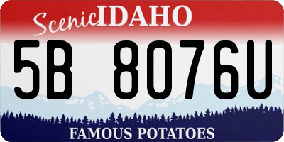 ID license plate 5B8076U