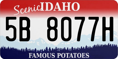 ID license plate 5B8077H